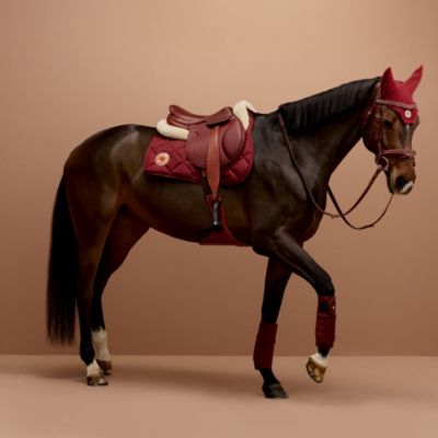 Equestrian world and traditional saddlery | Hermès Canada
